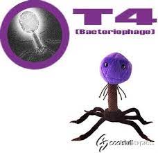 Giant Microbes T4 Cell Bacteriophage Stuffed Plush Giant Microbes Plush Microbes Popsicle Crafts