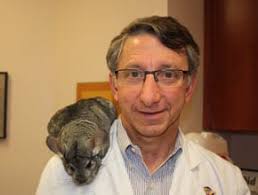 Our Team in Metairie, LA