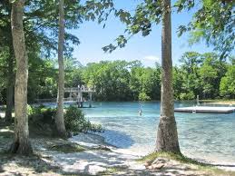 Yesterday, september 4, 2020, the florida state park system announced that in about eighteen months swimming will return to silver springs. Wakulla Spings Fl Florida Springs Florida Adventures Camping Trip List