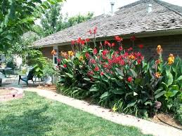 S Media Cache Ak0 Pinimg Com Originals 57 F5 0b 57f50b5aed642396ef9b4da562d8355d Jpg Canna Lily Landscaping Front House Landscaping Canna Lily