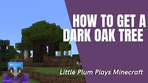 How To Make A Custom Dark Oak Tree In Minecraft - Youtube