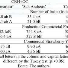 Douglas BERGMANN DA ROSA