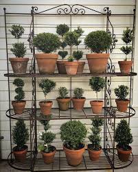 62 Simple Flower Stand Decorating Ideas Page 13 Of 62 Soopush Plants Jenny Rose Topiary