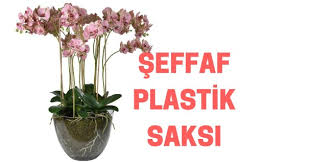 Altı delik ya da değil, plastik ya da toprak, sırlı, sırsız, neye göre seçilmeli. Orkide Saksisi Nasil Olmali Orkide Bakimi