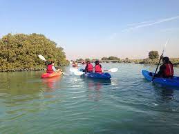 Exciting Things To Do In Qatar During The Weekend Nov 24 26 Kayaking Qatar Tours