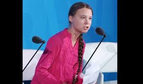 「グレタ・トゥーンベリ」の画像検索結果