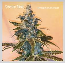 Cheap kitchen sinks, buy quality home improvement directly from china suppliers:kitchen sink stainless steel multifunctional single bowl above counter or udermount sinks 1.2mm thickness brushed sinks kitchen enjoy free shipping worldwide! Kitchen Sink Cannarado Genetics Cannabis Strain Info