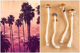 Could California Become The First State To Decriminalize