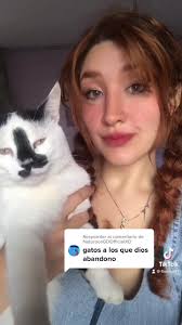 Respuesta a @NaturoosGDOfficialXD Felix dice que estás envidioso 😂😂 #fy  #fyp #tiktoker #tiktok #fypシ #fypage #fypシ゚viral #tendencia  #creadoresdecontenido #viral #viralvideo #viraltiktok #parati ...