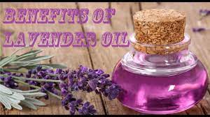 Lavender Flower In Urdu Best Flower Wallpaper