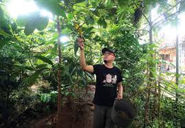 Om bro lovers 91.797 views2 year ago. Semua Halaman Misi Rescue Burung Sekarat D T Wibowo Bangun Aviary Jumbo