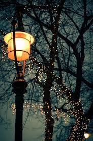 Check spelling or type a new query. Andrassy Lights Winter Light Beautiful Photography