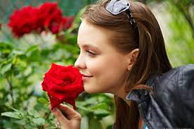 HD amelie wallpapers