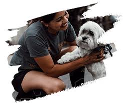 We did not find results for: Pet Care Clinic