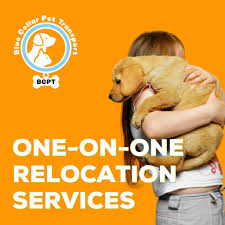Take a look through these resources created by our pet relocation experts to better understand the dog shipping process, including national and international regulations. Pet Transport Services Near Me