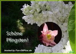 Weitere ideen zu pfingsten bilder, pfingsten, frohe pfingsten. Schone Pfingsten Facebook Bilder Grusse Facebook Bilder Whatsapp Bilder Gb Bilder Jappy Bilder
