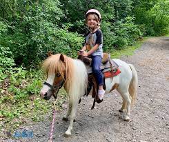She will supervise instruction to beginner campers and endeavor to maximize the personal. Horseback Riding Classes And Trail Rides For Kids In Chicagoland