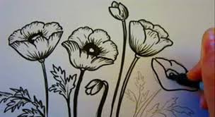 Flower Tutorial How To Draw Flowers Poppy Flowers Poppy Drawing Flower Drawing Drawing Tutorial