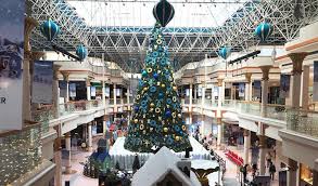 Check spelling or type a new query. Real Christmas Trees Find Buyers In The Desert Among Emirates Expats Khmer Times