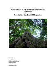 Image result for Cassipourea fanshawei