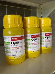 Opus 75EC