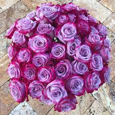 Maybe you would like to learn more about one of these? Amazon Com Magenta Lavender Bi Colored Stunner Roses Flower Bouquet In Glass Vase Beautiful Purple Roses Delivery Luxury Fresh Roses Birthday Anniversary Roses Any Occasion With Vase 24 Roses