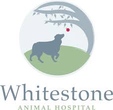 That means our hospital meets aaha's strict standards of excellence in diagnostic capabilities, anesthesia, surgery, pharmacy, nursing, and emergency care. Whitestone Animal Hospital Cedar Park Texas Dr Wendy Walden