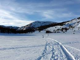 What a better way to spend your day with the family as everyone screams down the sledding hill. Where To Play In The Snow Around Reno Tahoe
