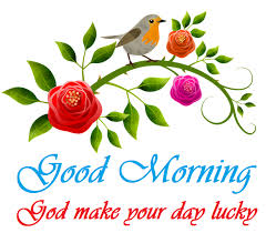 We did not find results for: Birds Images With Good Morning Messages
