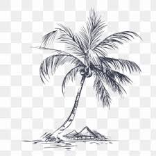 Are you looking for coconut tree silhouette design images templates psd or png vectors files? Black Coconut Tree Silhouette Images Black Coconut Tree Silhouette Transparent Png Free Download