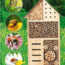 Mit Dem Tigerschnegel Gegen Die Schneckenplage Marienkafer Haus Insektenhotel Beetpflanzen