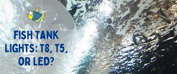 Check spelling or type a new query. Fish Tank Lights T8 T5 Or Led Warehouse Aquatics