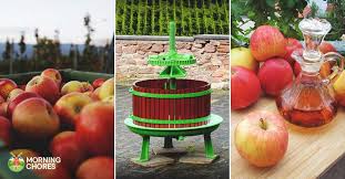 It helps you gather feedback by prompting the user to. 18 Easy To Follow Diy Cider Press Plans To Make Your Own Apple Cider