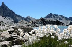 Epingle Sur Hautes Alpes