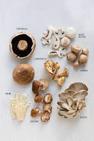 A Guide To Mushrooms Stuffed Mushrooms Mushroom Recipes Food
