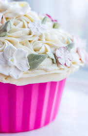 Giant Chocolate Cupcake The Cookie Writer Giant Cupcakes Giant Cupcake Cakes Cake Decorating Tips
