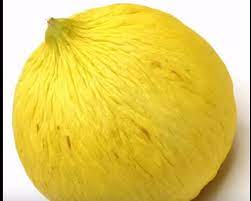 It generally ranges in weight from 1.8 to 3.6 kg (4.0 to 7.9 lb). Casaba Melon Melons Wiki Fandom