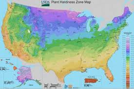 We did not find results for: How To Determine Your Gardening Zone Diy