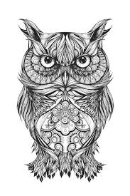 They are found in all continents except antarctica. Owl Animal Mandala Coloring Pages Novocom Top