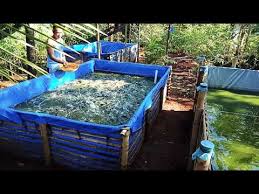 Kolam Terpal Ukuran 2x3 Youtube