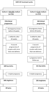Flow Chart Of The Study Fresh Embryo Transfer Download