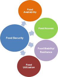 The Fao Four Pillars Model Of Food Security Food Security Emergency Supplies Nutritious Meals