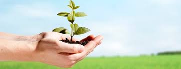 Lot pt 3940 kawasan perindustrian teluk kalong kemaman terengganu darul iman 24000 malaysia. See Sen Chemical Berhad Chemical Plant In Malaysia