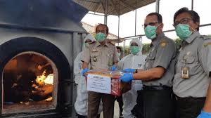 Belimbing kaya akan potasium, zat besi, karotenoid, dan vitamin sehingga dapat mencegah sariawan. Marak Tanaman Dan Buah Buahan Berhama Dari Luar Negeri Pemerintah Kembangkan Teknologi Biosensing Tribun Jakarta