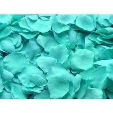 Tiffany blue dried boho reeds plumes grass natural flower dried reed flowers nature reeds flowers home decor christmas gifts personalized. Tiffany Blue Flower Petal For Wedding Decoration Wedding Dreams Bodas Azules Boda Turquesa