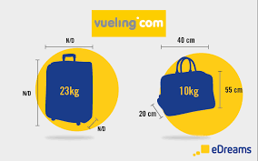 Check spelling or type a new query. Airline Baggage Policies 2020 Hand Luggage Checked Bags Edreams