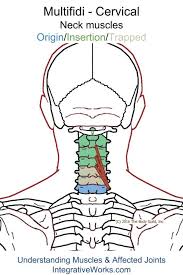 Pin On Exercises