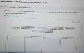 Tour of an animal cell structures and functions (bioflix tutorial) quizlet. Cisternal Maturation In Endomembrane System