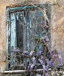 Reminds Me Of Our House In Prince Albert Where The Wisteria And The Rose Bush Overtaken The Entire Thorn Tr Beautiful Doors Windows And Doors Beautiful Windows