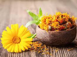 Bunga marigold molek kuning memiliki warna bunga kuning cerah dengan jumlah kuntumnya sekitar 200 per tanaman, berdiameter sekitar 6,8 hingga 8,6 cm. Ini Manfaat Bunga Calendula Yang Sering Ditemukan Di Skincare